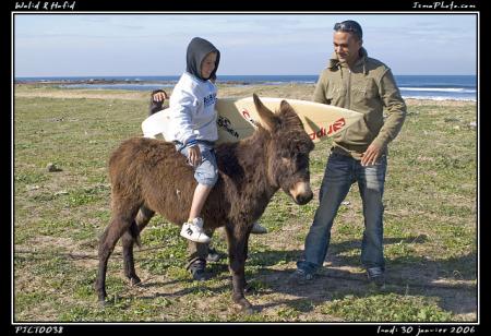 walid et hafid